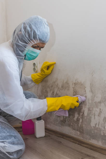 Best Residential Mold Inspection & Testing  in University Of Lifornia Davis, CA