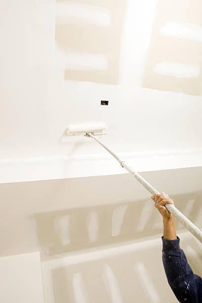Trusted University Of California Davis, CA Mold Removal Experts